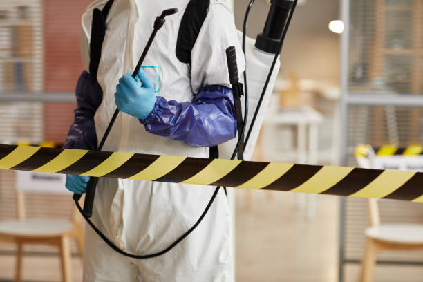 Professional Sewage Cleanup technician working in Saint Stephen, MN